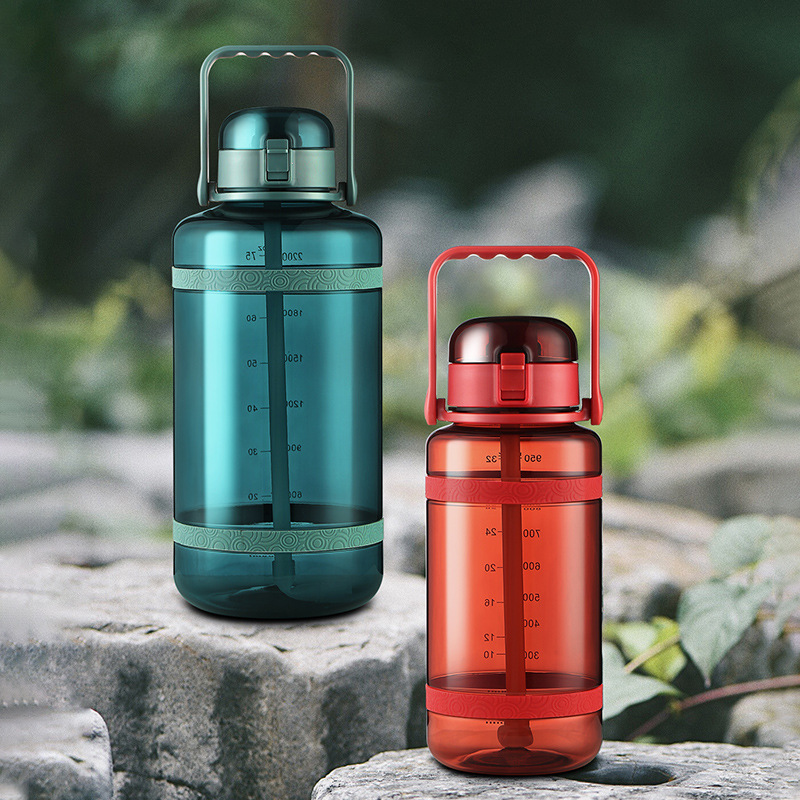 雙層塑料杯翻蓋吸管水杯學(xué)生兒童便攜水杯奶茶果汁簡(jiǎn)約杯子